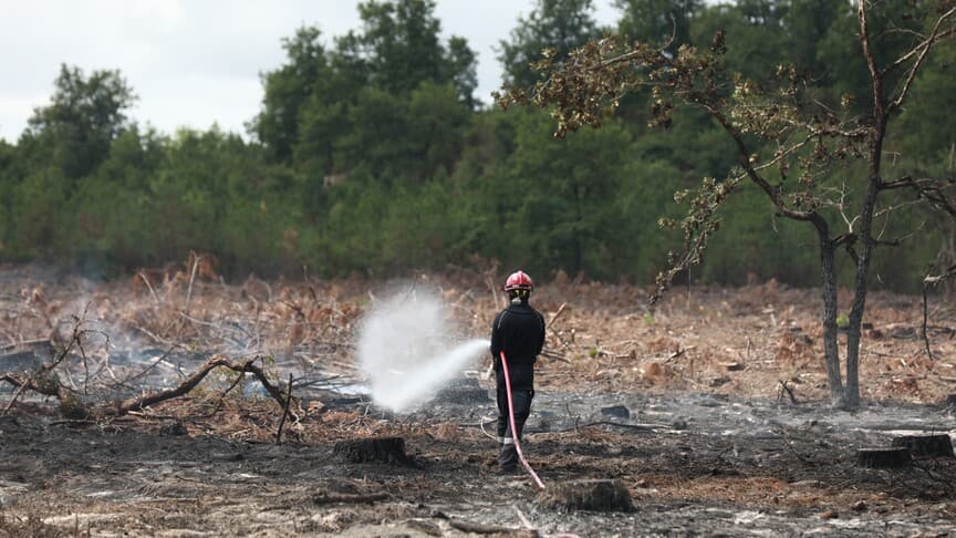 Fransa'nın Lozere vilayetinde orman yangını 250 hektar alanı yaktı