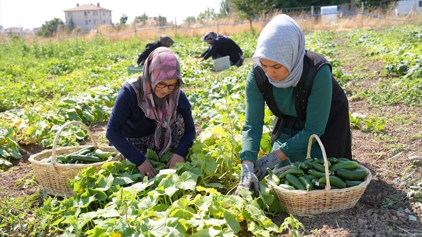 Çubuk turşusu, 45 çeşidiyle dünya mutfağında yer alıyor