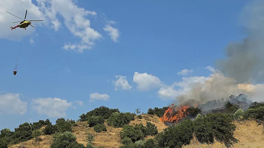 Soma'da orman yangınına müdahale ediliyor