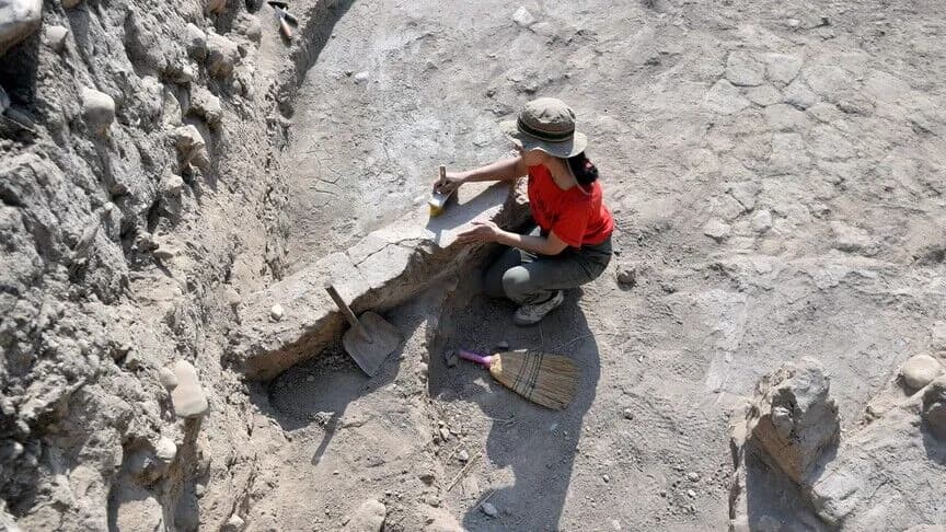 Güneydoğu Anadolu'daki kazılar binlerce yıllık yaşamı ortaya çıkarıyor