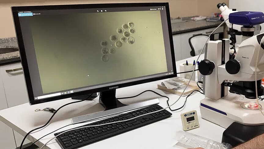 Beta-laktoglobulin süt proteini sadece ihracat için üretilecek