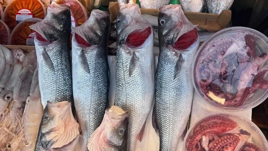 İstanbul'da balıkçılık sezonu tezgahlara zenginlik getirdi