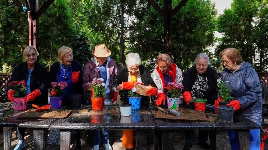 Huzurevi sakinleri limon kabuklarını laboratuvara taşıdı