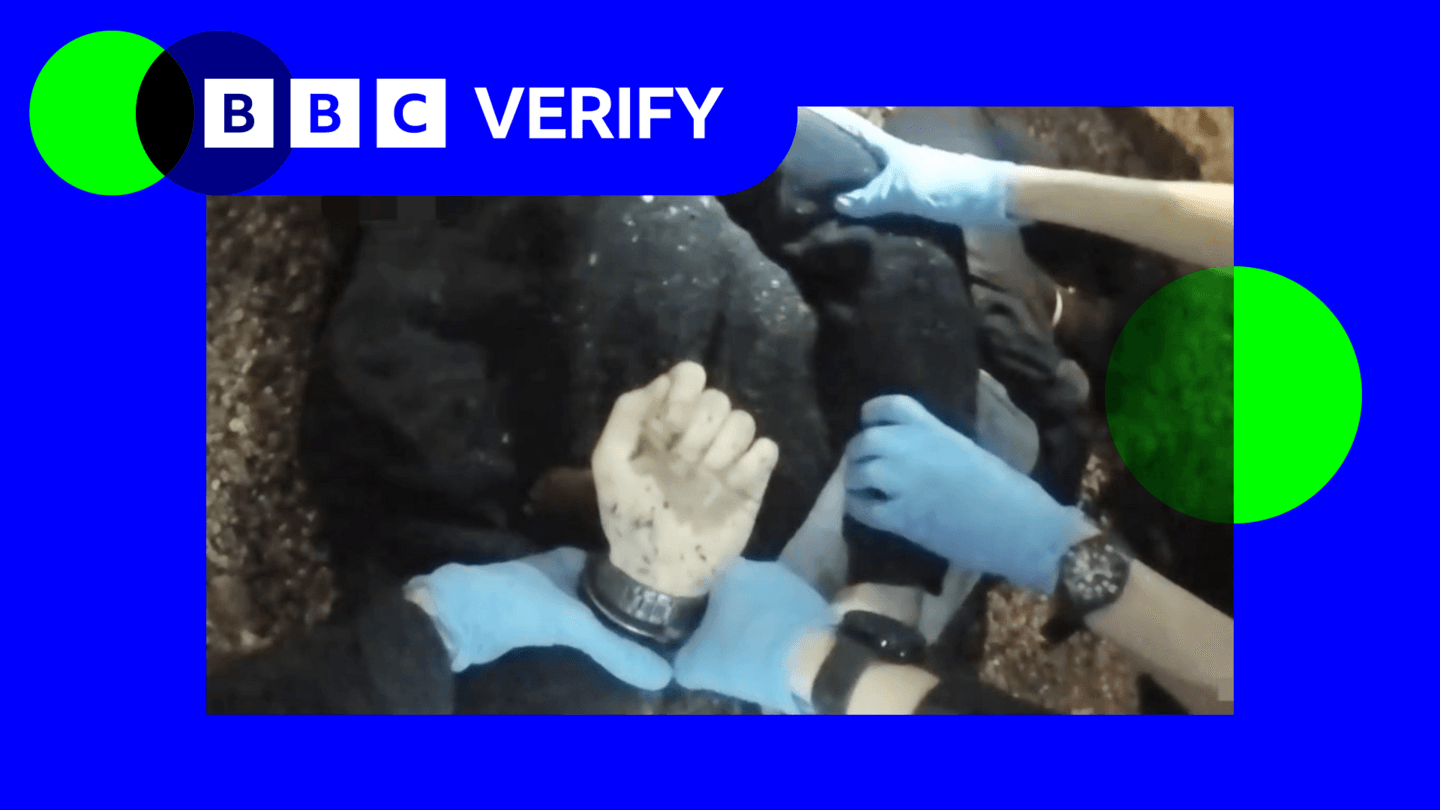 Analysis of Police Bodycam Footage in Henry Nowak Stabbing Case