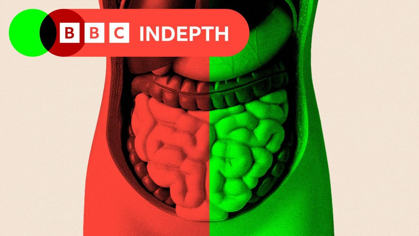 I spent months investigating whether gut health affects ageing - and if I could hack my own gut to age better