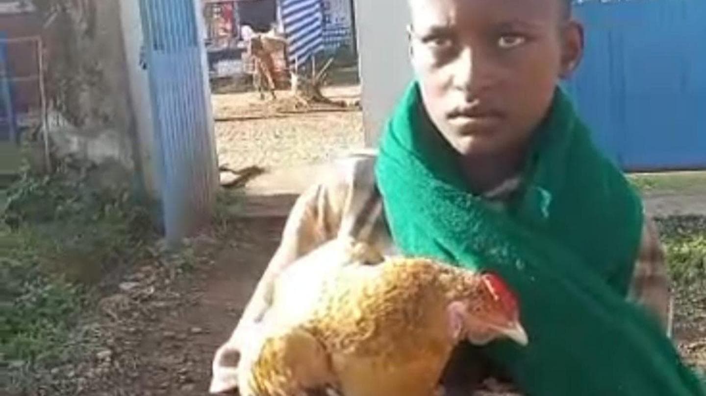 12-Year-Old Boy Attempts to Admit Sick Chicken to Ethiopian Hospital