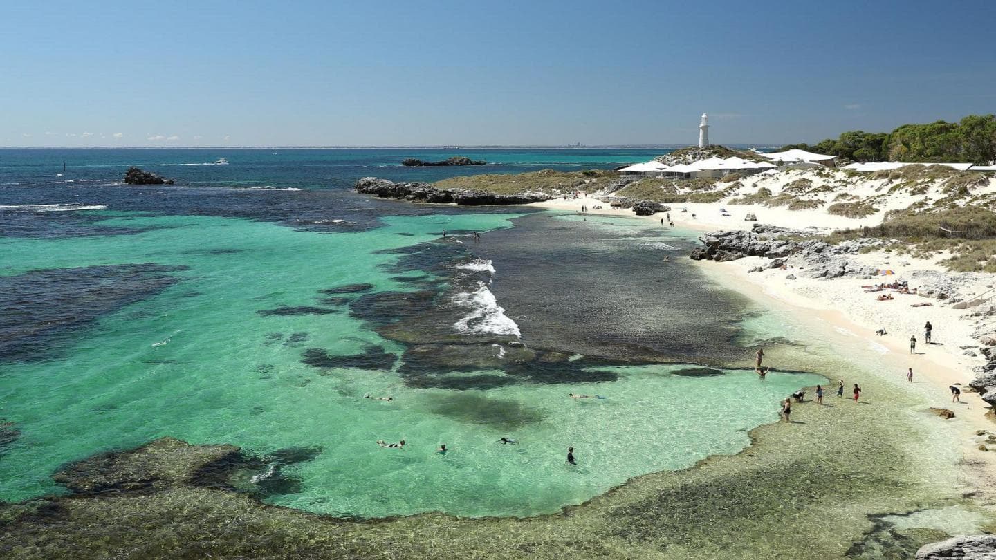 Man fatally attacked by 13-foot great white shark off Western Australia coast