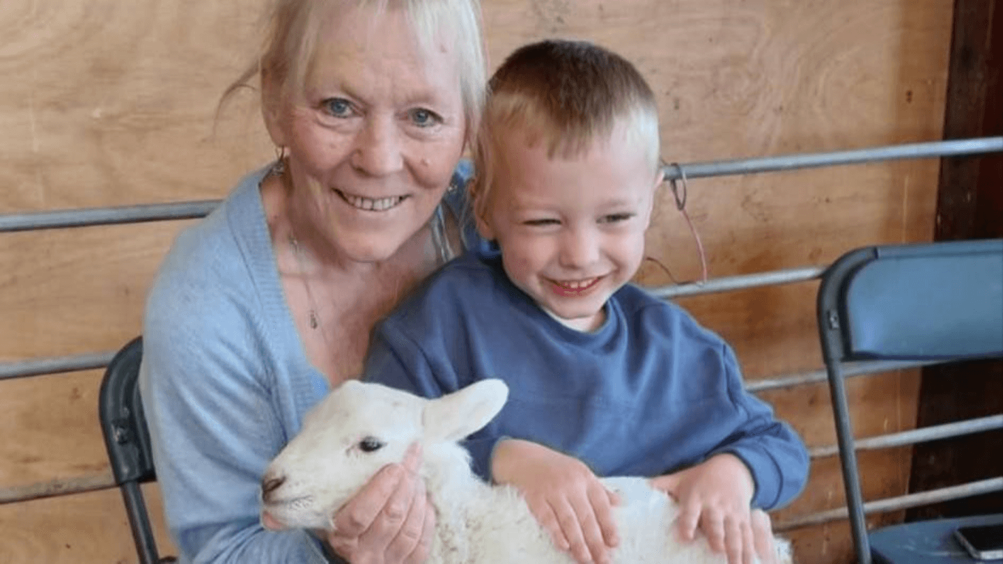 Families urged not to cuddle lambs after infection outbreak left dozens sick