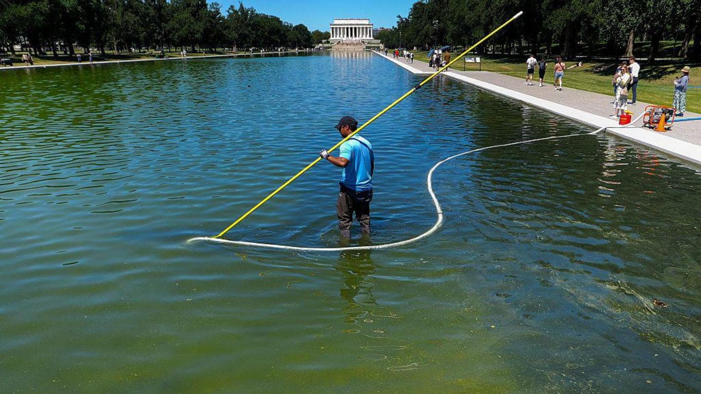 Former Olympian Davey Hearn Accused of Vandalizing Washington Reflecting Pool