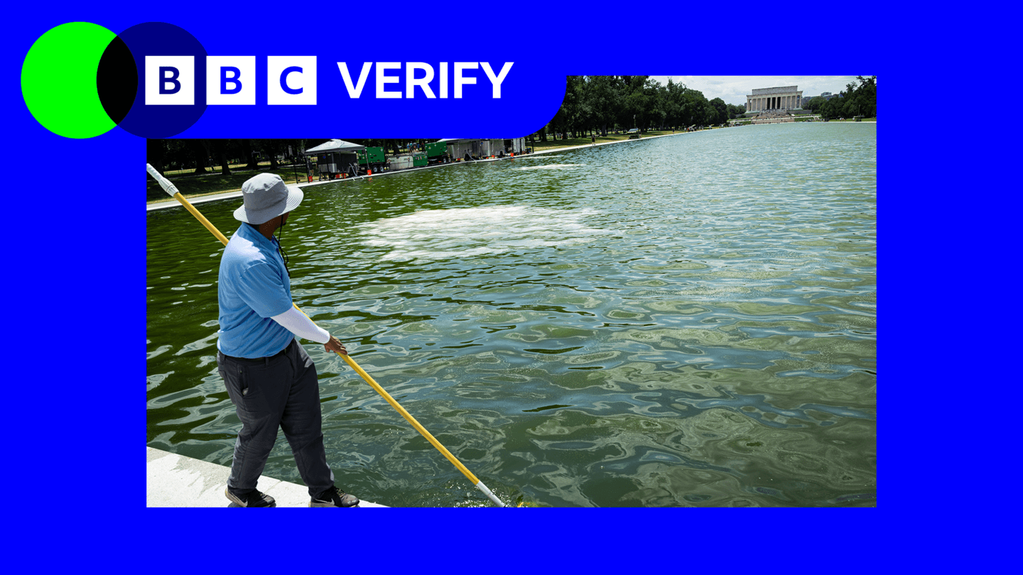 Algae Blooms Appear in Newly Renovated Reflecting Pool in Washington, D.C.