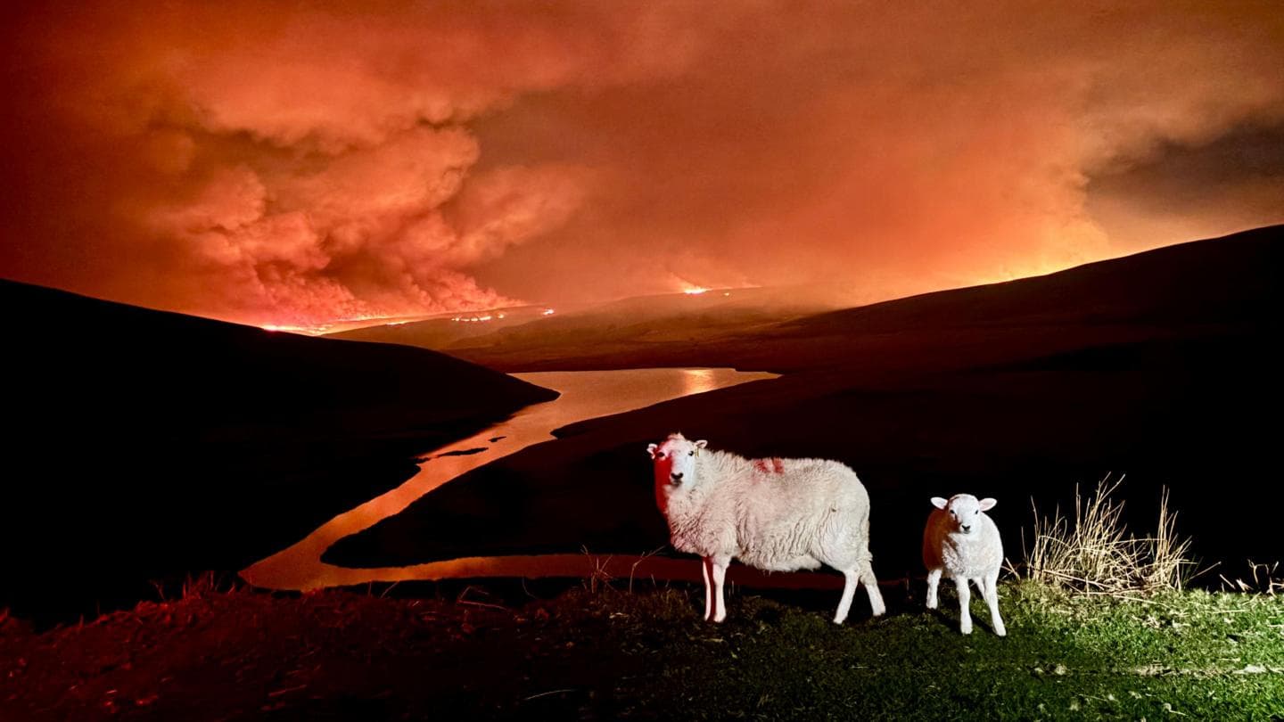 Pictures show 'frightening' wildfires at Welsh beauty spot
