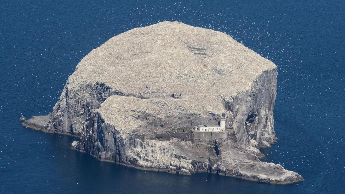 RSPB Acquires Bass Rock, Ending 300-Year Private Ownership