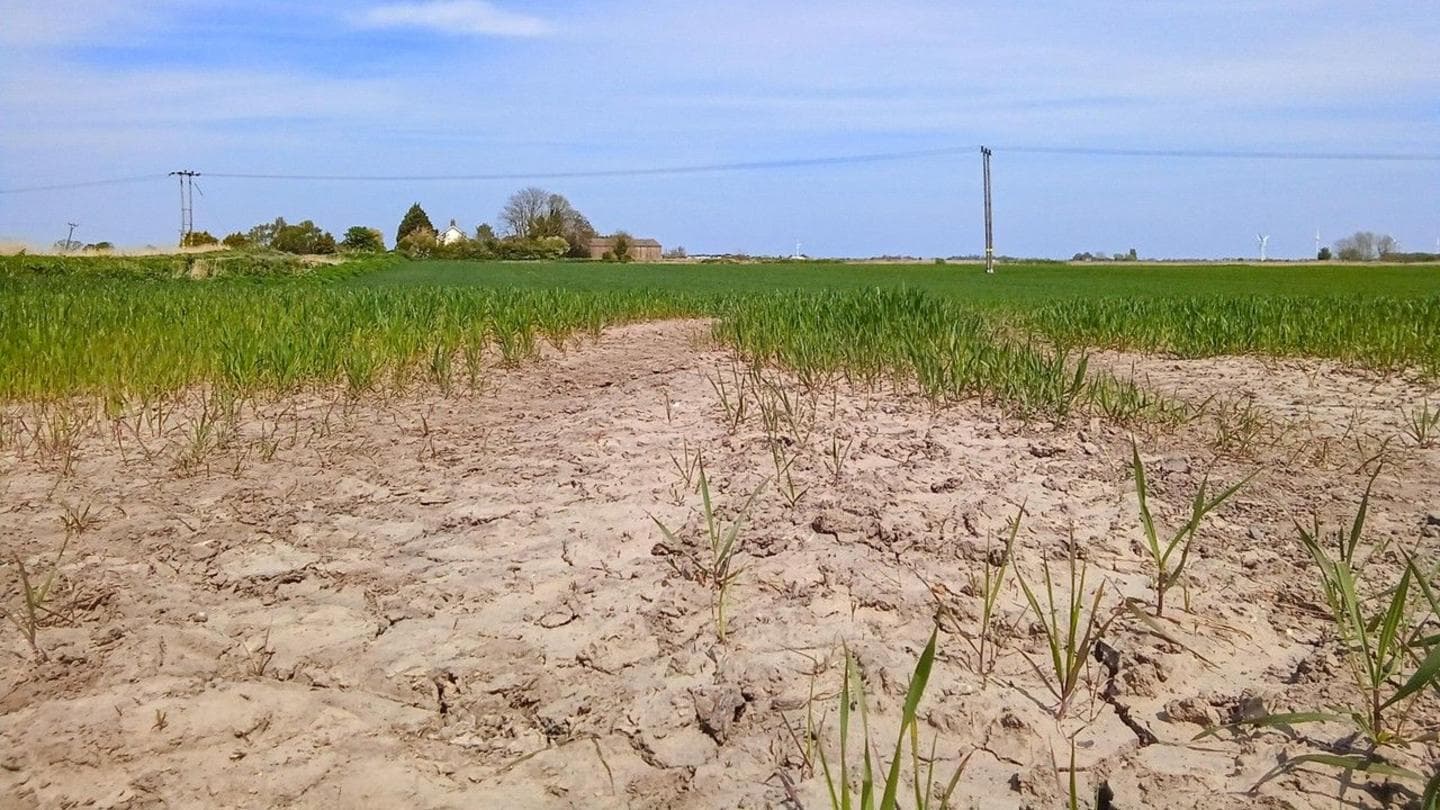 Is the UK heading for another drought this summer?