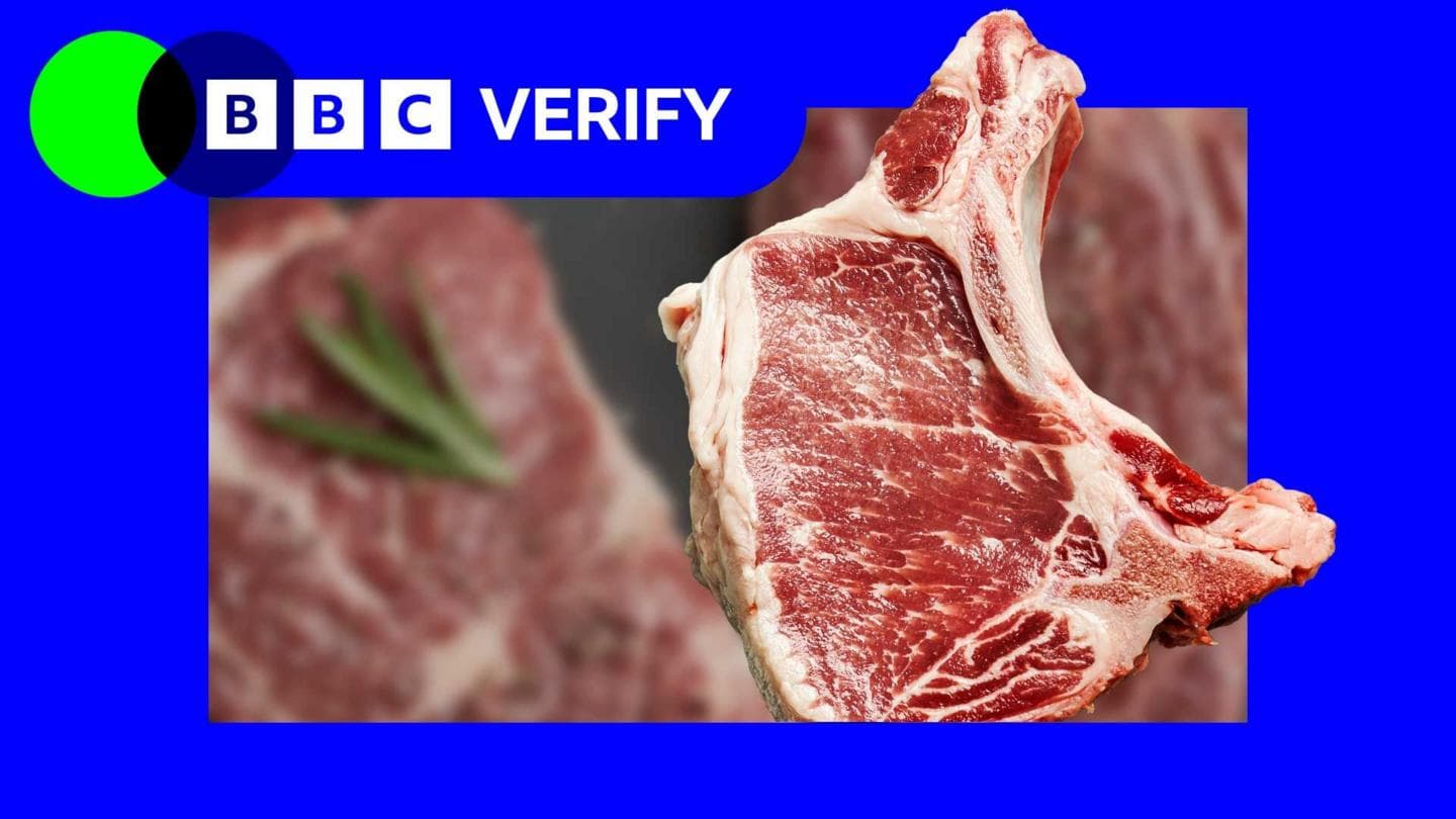 Viral Claims of a Meat Allergy Conspiracy Lack Evidence and Credibility