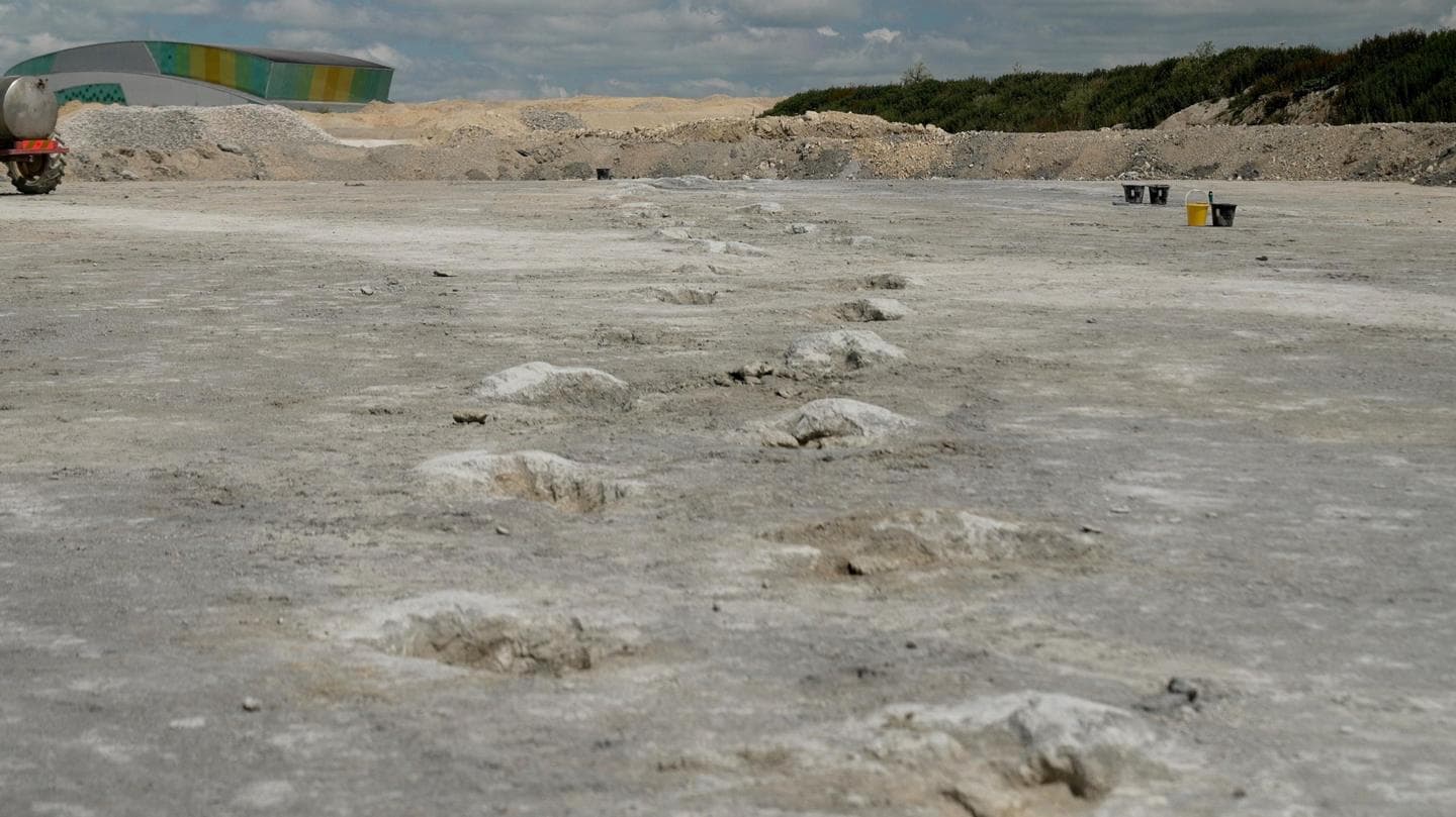 World's Longest Dinosaur Trackway Discovered in Oxfordshire
