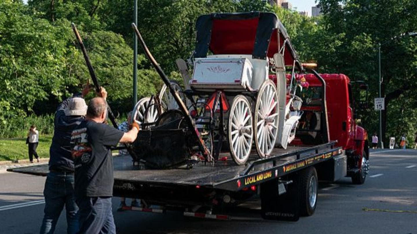 Teenager killed in New York horse-drawn carriage accident