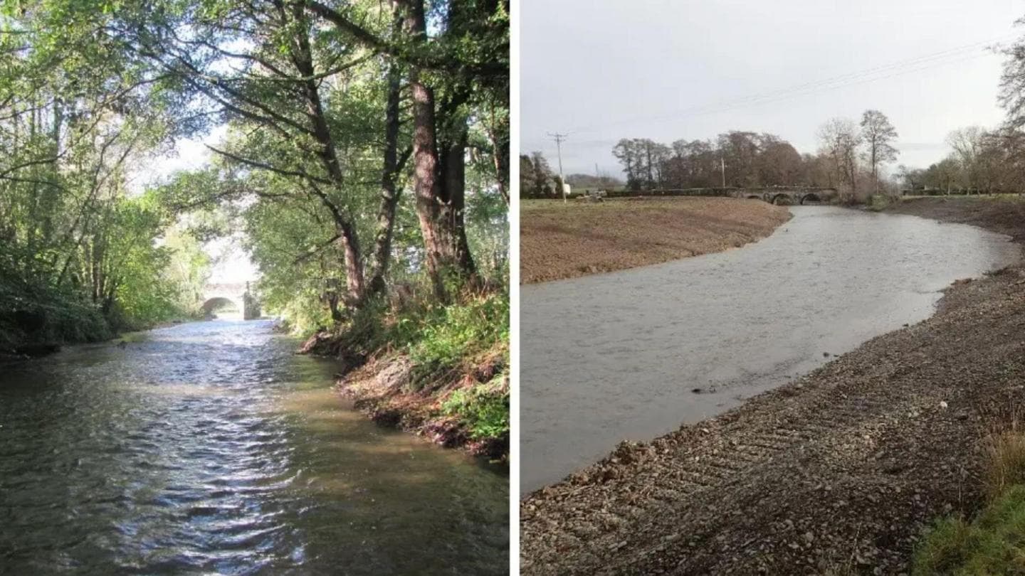Farmer's Actions Lead to Severe Damage of River Lugg in Herefordshire