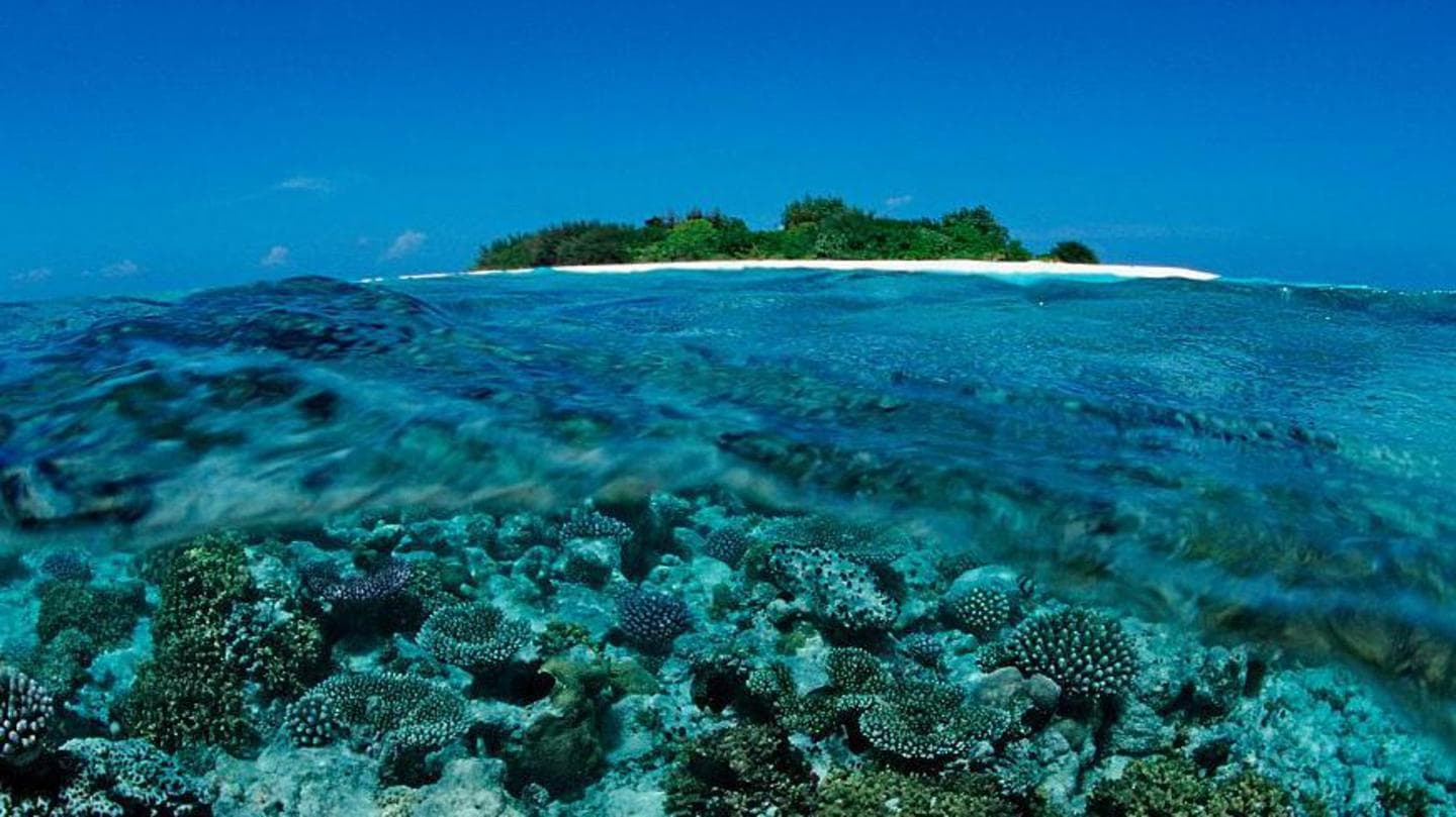 Five Italians Confirmed Dead Following Cave Diving Incident in Maldives