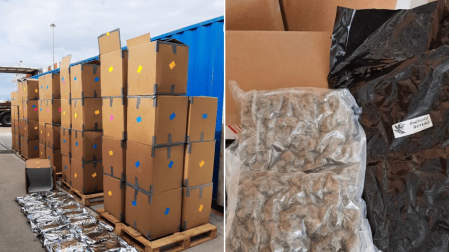 Three Arrested Following £139 Million Cannabis Seizure in South Wales