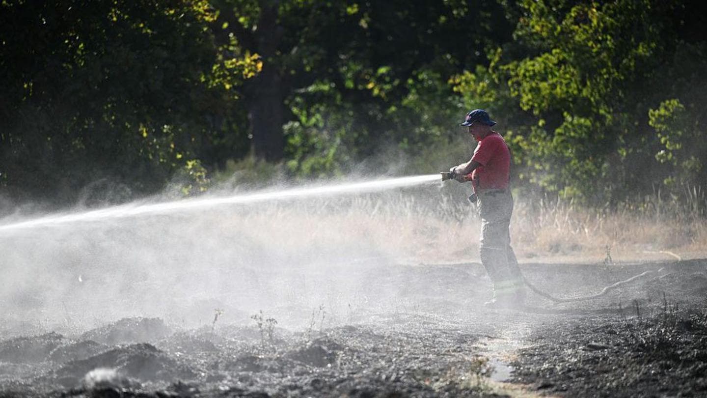 Scientists Warn of Record Global Temperatures Amid Strong El Niño Predictions