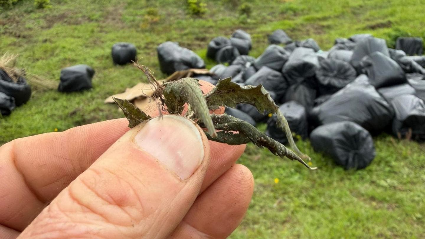 Farmer Discovers 80 Bags of Cannabis Discarded on His Property