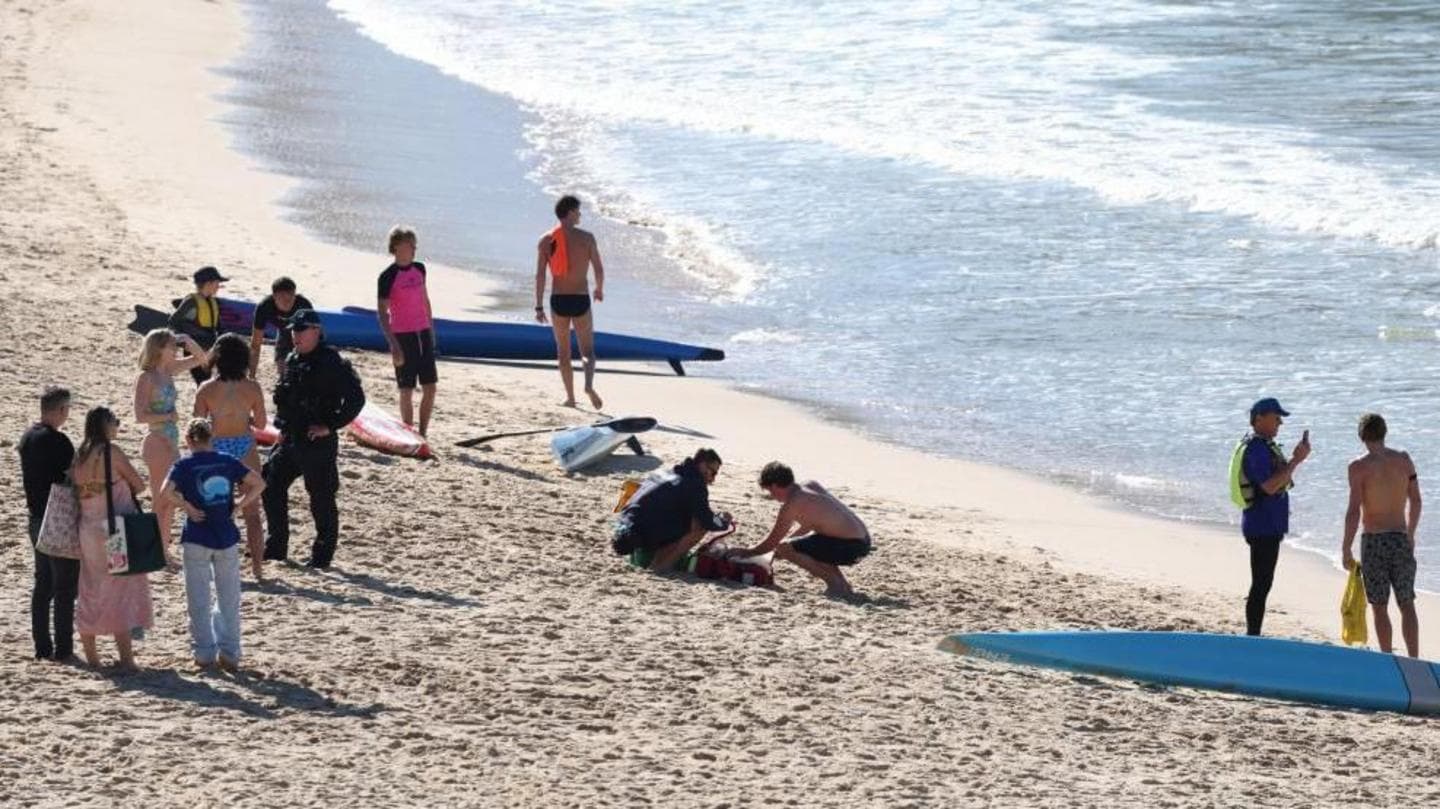 35-Year-Old Woman Injured in Shark Attack at Sydney Beach