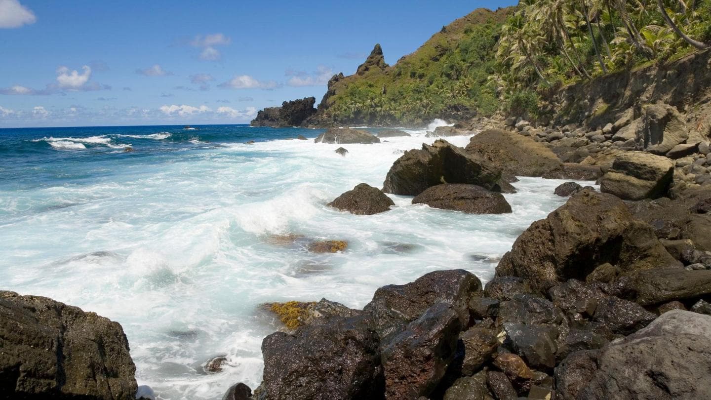 Woman Isolated on British Island After Contact with Hantavirus