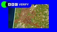 Satellite Images Reveal Europe's Drought-Stricken Landscapes After Heatwaves