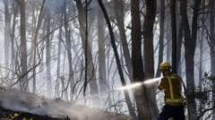 Twelve fatalities reported in Spain's wildfire amid ongoing heatwave in southern Europe