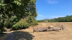 Two Men Arrested After Body Discovered in Suitcase in Woods