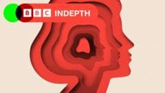 Debate Continues Over Definition and Spectrum of Autism