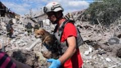 Russia Targets Schools, Offices, and Buses in Zaporizhzhia Amid Rising Tensions