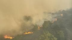Firefighters Respond to Major Wildfire on Suffolk Coast Amid Thick Smoke