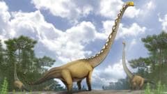 New Dinosaur Species with Cricket Pitch-Length Neck Found in Thailand