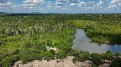 Brazil's Amazon Reports Significant Decrease in Burned Area for 2025