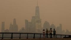 New York and New Jersey Issue Air Quality Alert Ahead of World Cup Final