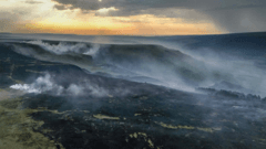 Parts of the UK Face High Wildfire Risk Amid Ongoing Heatwave Alerts