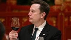 Elon Musk Addresses AI Concerns, Emphasizes Enjoyment of Progress