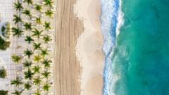 UK Holidaymakers Advised of Rising Cyclospora Infection Cases