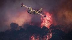Mapping the Impact of Wildfires Across Europe and Response Efforts