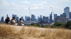 Amber heat health alerts issued as UK heatwave peaks at 35C