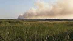 Major Incident Declared Due to Coastal Heath Fire in Suffolk