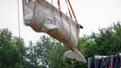 Beluga Whales Rescued from Canadian Marine Park Arrive in the United States