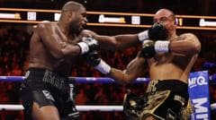 Daniel Dubois Defeats Fabio Wardley in Two Rounds to Retain WBO Title