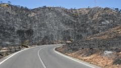 British couple rescued from ravine after suffering severe burns in Spain wildfires