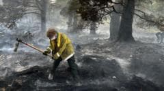 Cairngorms Wildfire Causes Significant Damage Over Two Weeks