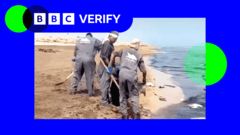 Oil Slick from Ship Attack Impacts Iran's Coastal Wildlife