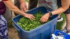 Cyclospora Outbreak in Michigan Leads to Increased Bathroom Visits