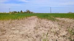 Central England Endures Longest Dry Spell in Over 30 Years