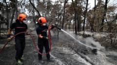 Volunteer Firefighter Allegedly Responsible for Major Forest Fire in France